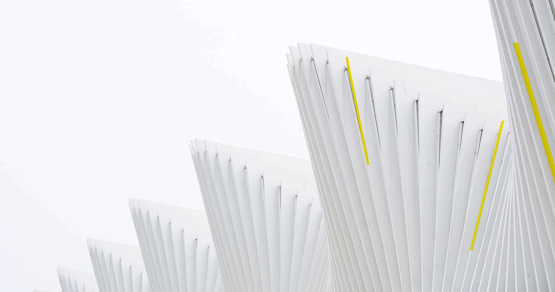 Slide #1 copy copy copy Slide background